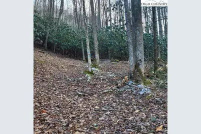 1463 Pine Ridge Road, Beech Mountain, NC 28604 - Photo 21