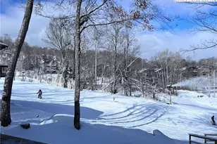 528 Briarcliff Rd, Sugar Mountain, NC 28604 - Photo 19