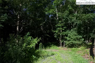 Lot 2A Whispering Pines Road, Boone, NC 28607 - Photo 7
