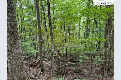 119 Raccoon Road, Beech Mountain, NC 28604 - Photo 5