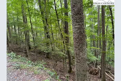 119 Raccoon Road, Beech Mountain, NC 28604 - Photo 1