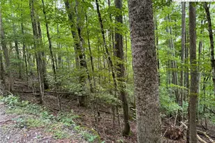 119 Raccoon Rd, Beech Mountain, NC 28604 - Photo 1