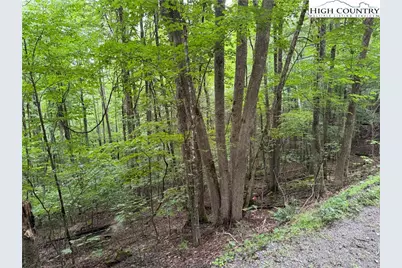 119 Raccoon Road, Beech Mountain, NC 28604 - Photo 3