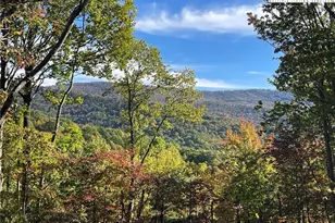 225 Oak Rd, Beech Mountain, NC 28604 - Photo 3