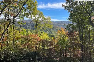 225 Oak Rd, Beech Mountain, NC 28604 - Photo 33