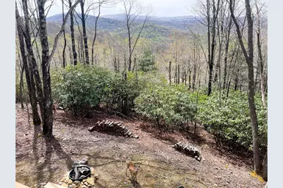 225 Oak Road, Beech Mountain, NC 28604 - Photo 33