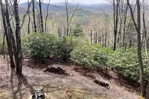 225 Oak Rd, Beech Mountain, NC 28604 - Photo 33
