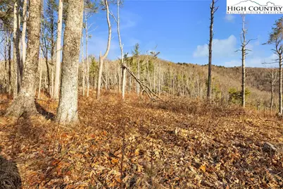 Tbd Johnson Hollow Road, Jefferson, NC 28640 - Photo 39