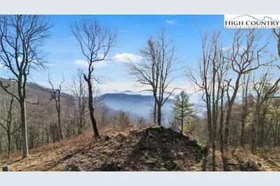 Tbd Johnson Hollow Road, Jefferson, NC 28640 - Photo 19