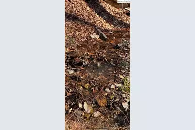 Lot 40 Snow Ridge Road, Banner Elk, NC 28604 - Photo 3