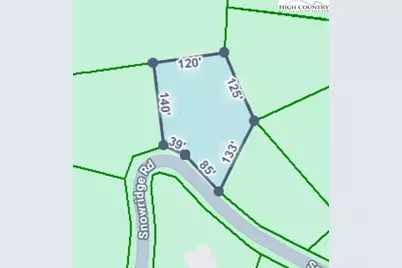 Lot 40 Snow Ridge Road, Banner Elk, NC 28604 - Photo 5