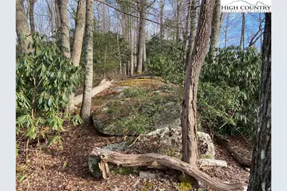 Lot 53 Abaco Drive, Vilas, NC 28692 - Photo 15