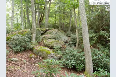 Lot 53 Abaco Drive, Vilas, NC 28692 - Photo 25