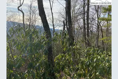 Lot 53 Abaco Drive, Vilas, NC 28692 - Photo 17