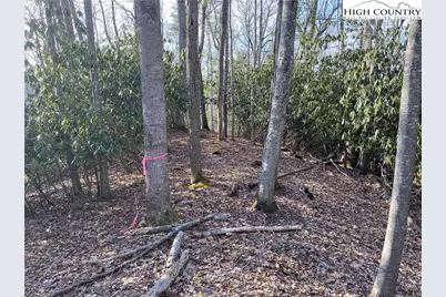 Lot 53 Abaco Drive, Vilas, NC 28692 - Photo 9