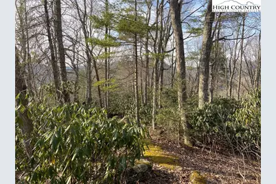 Lot 53 Abaco Drive, Vilas, NC 28692 - Photo 13