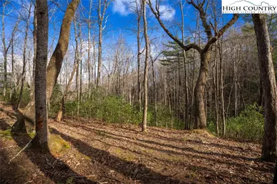 180 Marigold Road, Boone, NC 28607 - Photo 9