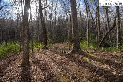 180 Marigold Road, Boone, NC 28607 - Photo 5