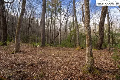 180 Marigold Road, Boone, NC 28607 - Photo 7