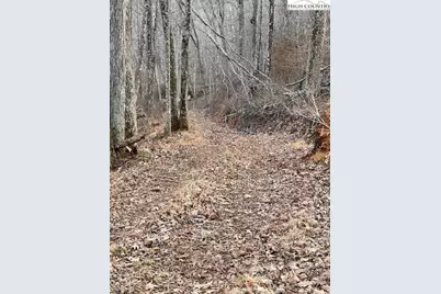 Tbd McNeill Road, Lansing, NC 28617 - Photo 7