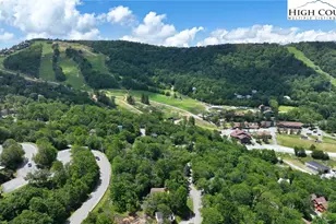 104 Hornbeam Rd, Beech Mountain, NC 28604 - Photo 7