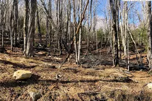 135 Lake Ledge Cir, Beech Mountain, NC 28604 - Photo 1