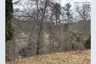 206 Bryant Combs Road, Sugar Grove, NC 28679 - Photo 33