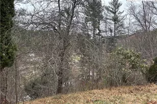 206 Bryant Combs Rd, Sugar Grove, NC 28679 - Photo 33