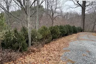 206 Bryant Combs Rd, Sugar Grove, NC 28679 - Photo 31