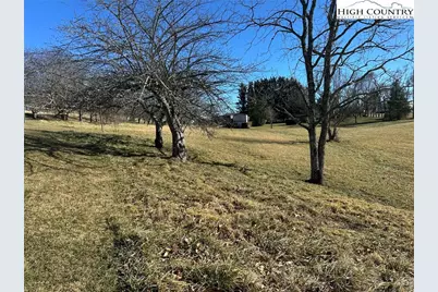 1620 Little Pine Road, Ennice, NC 28623 - Photo 5