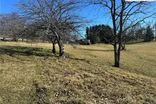 1620 Little Pine Rd, Ennice, NC 28623 - Photo 5