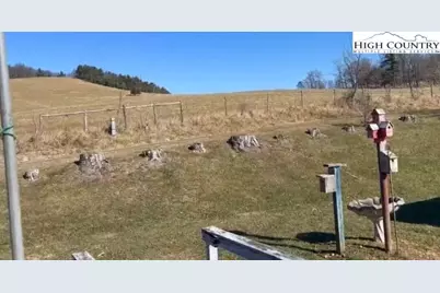 1620 Little Pine Road, Ennice, NC 28623 - Photo 3