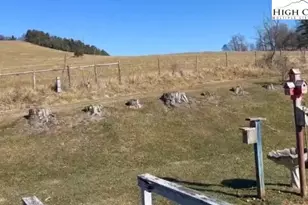 1620 Little Pine Rd, Ennice, NC 28623 - Photo 3