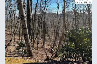 Tbd State View Road, Boone, NC 28607 - Photo 7