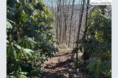 Tbd State View Road, Boone, NC 28607 - Photo 5