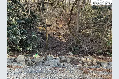 269 Greenbriar Road, Beech Mountain, NC 28604 - Photo 5