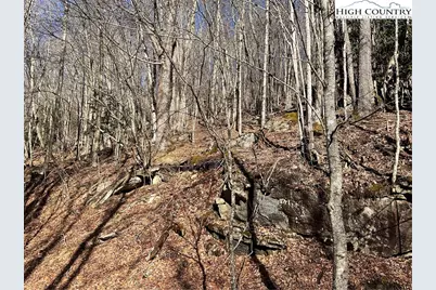 117 Smoketree Road, Beech Mountain, NC 28604 - Photo 3