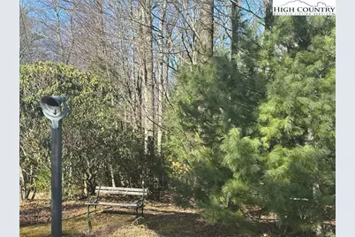 1218 Waterfall Road, Sparta, NC 28675 - Photo 7