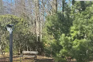 1218 Waterfall Rd, Sparta, NC 28675 - Photo 7