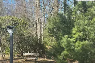 1218 Waterfall Rd, Sparta, NC 28675 - Photo 5