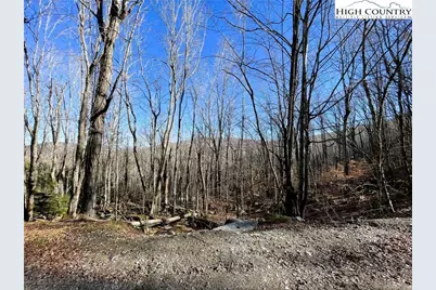 236 Lakeledge Road, Beech Mountain, NC 28604 - Photo 5