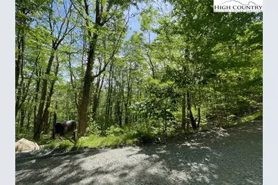 236 Lakeledge Road, Beech Mountain, NC 28604 - Photo 3