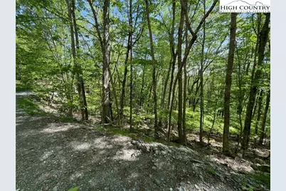 234 Lakeledge Road, Beech Mountain, NC 28604 - Photo 3