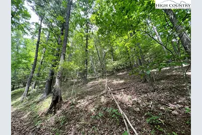 Tbd Misty Mountain Road, Boone, NC 28607 - Photo 11