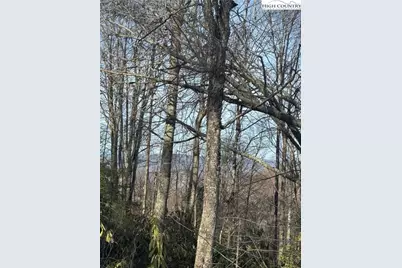 226 Greenbriar Road, Beech Mountain, NC 28604 - Photo 1