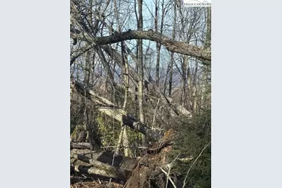 226 Greenbriar Road, Beech Mountain, NC 28604 - Photo 5