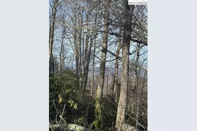 226 Greenbriar Road, Beech Mountain, NC 28604 - Photo 3