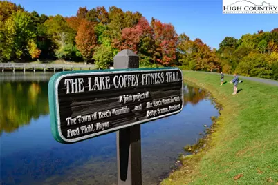 226 Greenbriar Road, Beech Mountain, NC 28604 - Photo 9