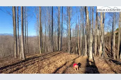 Lot 971 Soaring Top Lane, Lenoir, NC 28645 - Photo 7