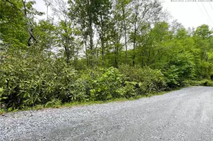 287 Poplar Dr, Beech Mountain, NC 28604 - Photo 1